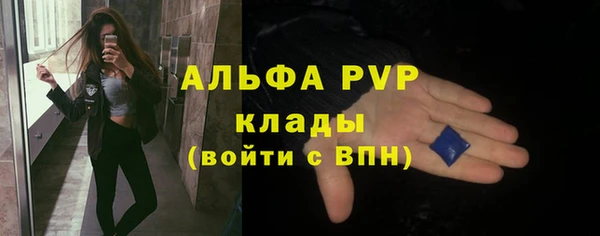 прущие грибы Семикаракорск