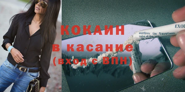 шишки Балахна
